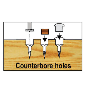Dimar WPF-22 - 7/8" Dia, HSS, Forstner Bit, 1/4" Hex Shank, 3 1/2" Length