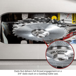 Woodpeckers Dado Nut for SawStop Table Saws