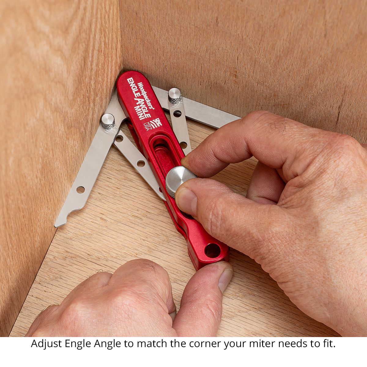 Woodpeckers Engle Angle