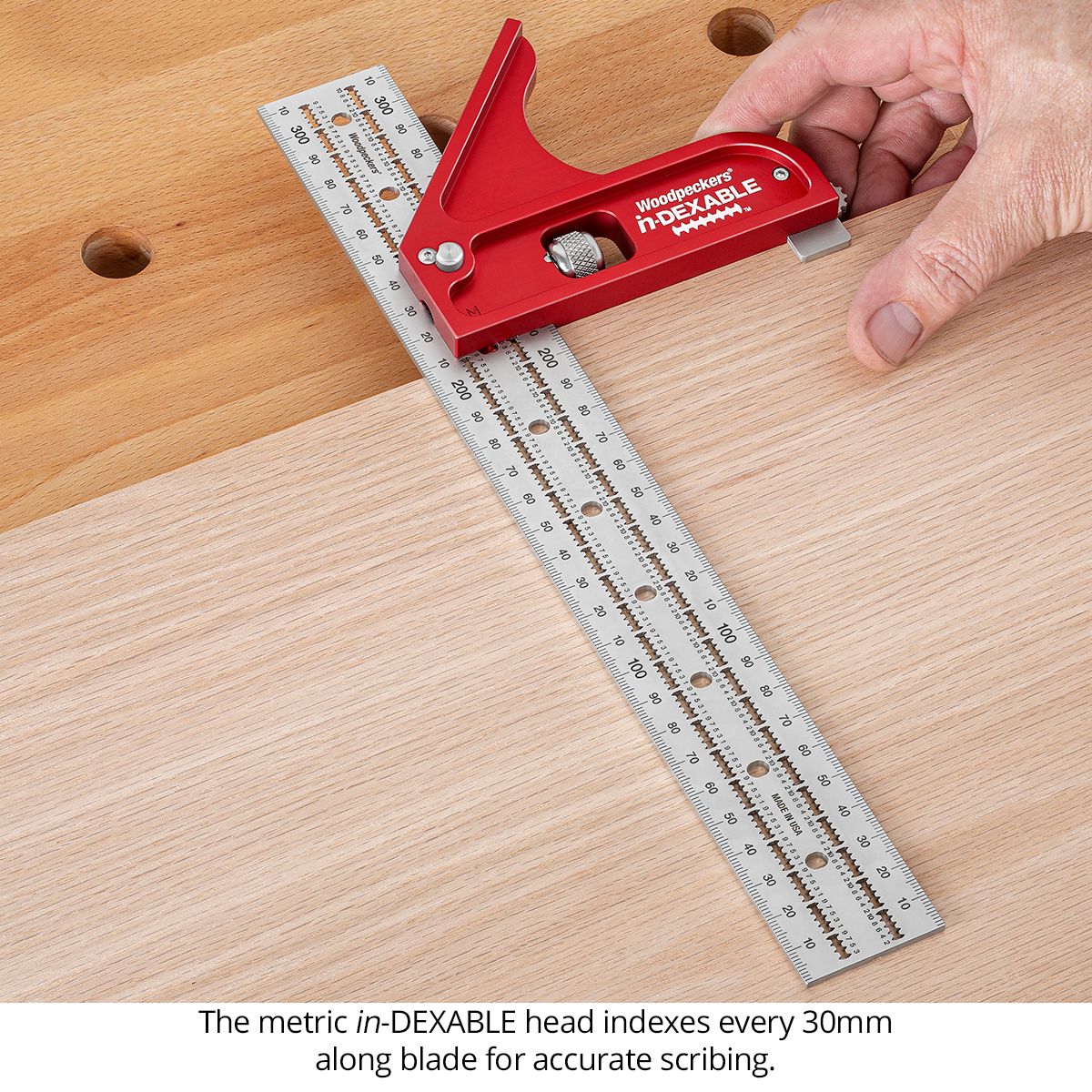 Woodpeckers in-DEXABLE Standard System