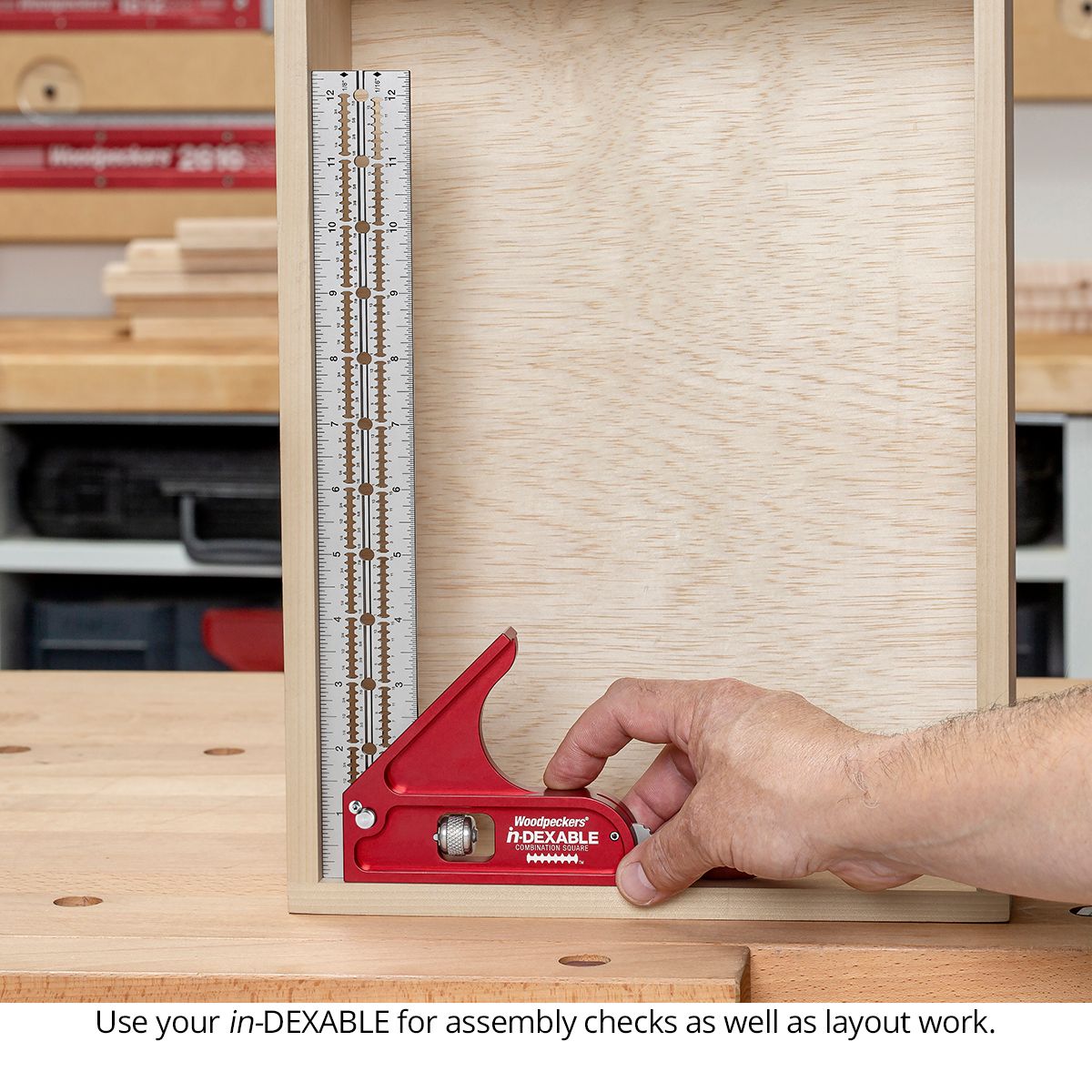 Woodpeckers in-DEXABLE Standard System
