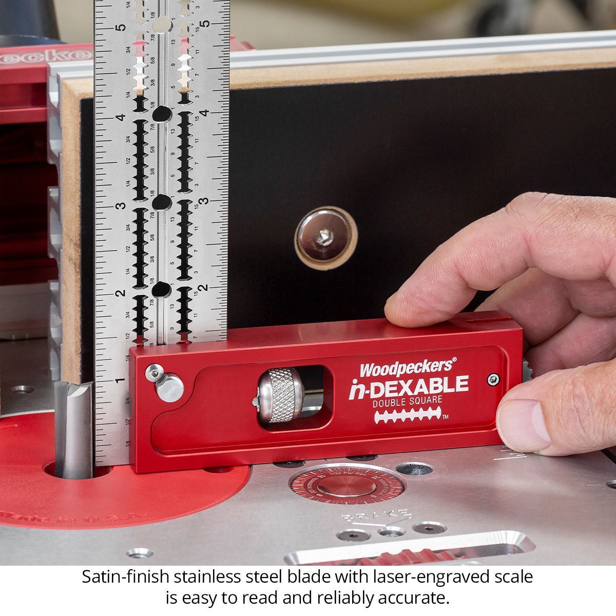 Woodpeckers in-DEXABLE Standard System