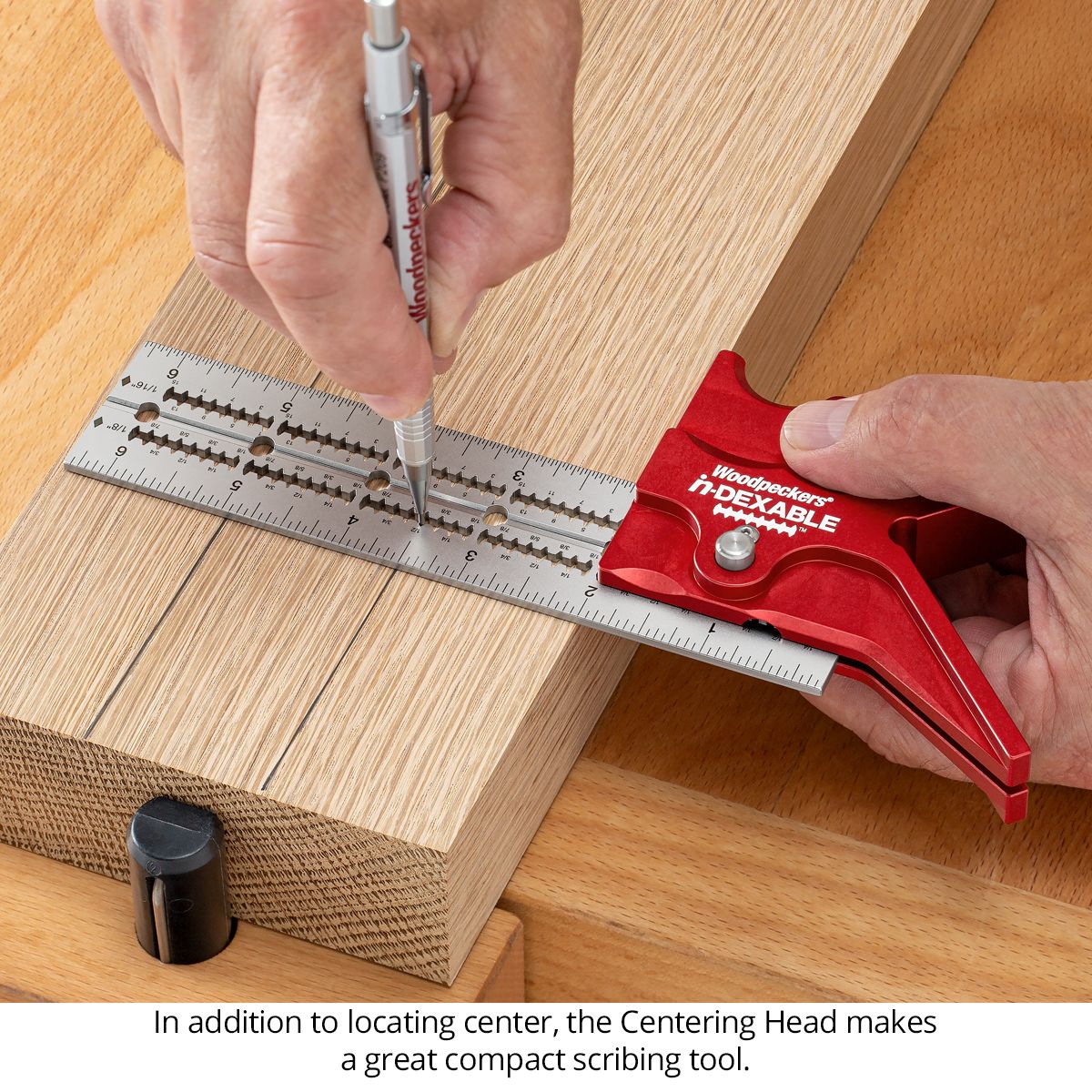 Woodpeckers in-DEXABLE Standard System