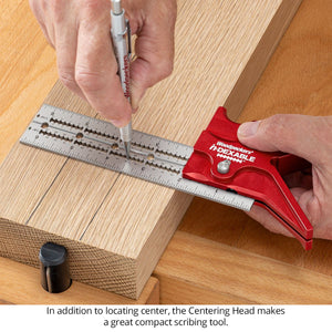 Woodpeckers in-DEXABLE Standard System