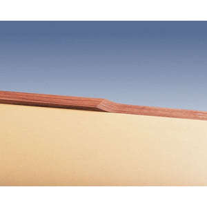 Edge Lipping Planer CE53S