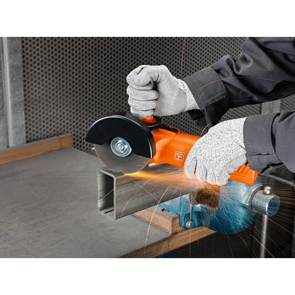 WSG 17-125 P 5 in. POWER Angle Grinder 120V 60H