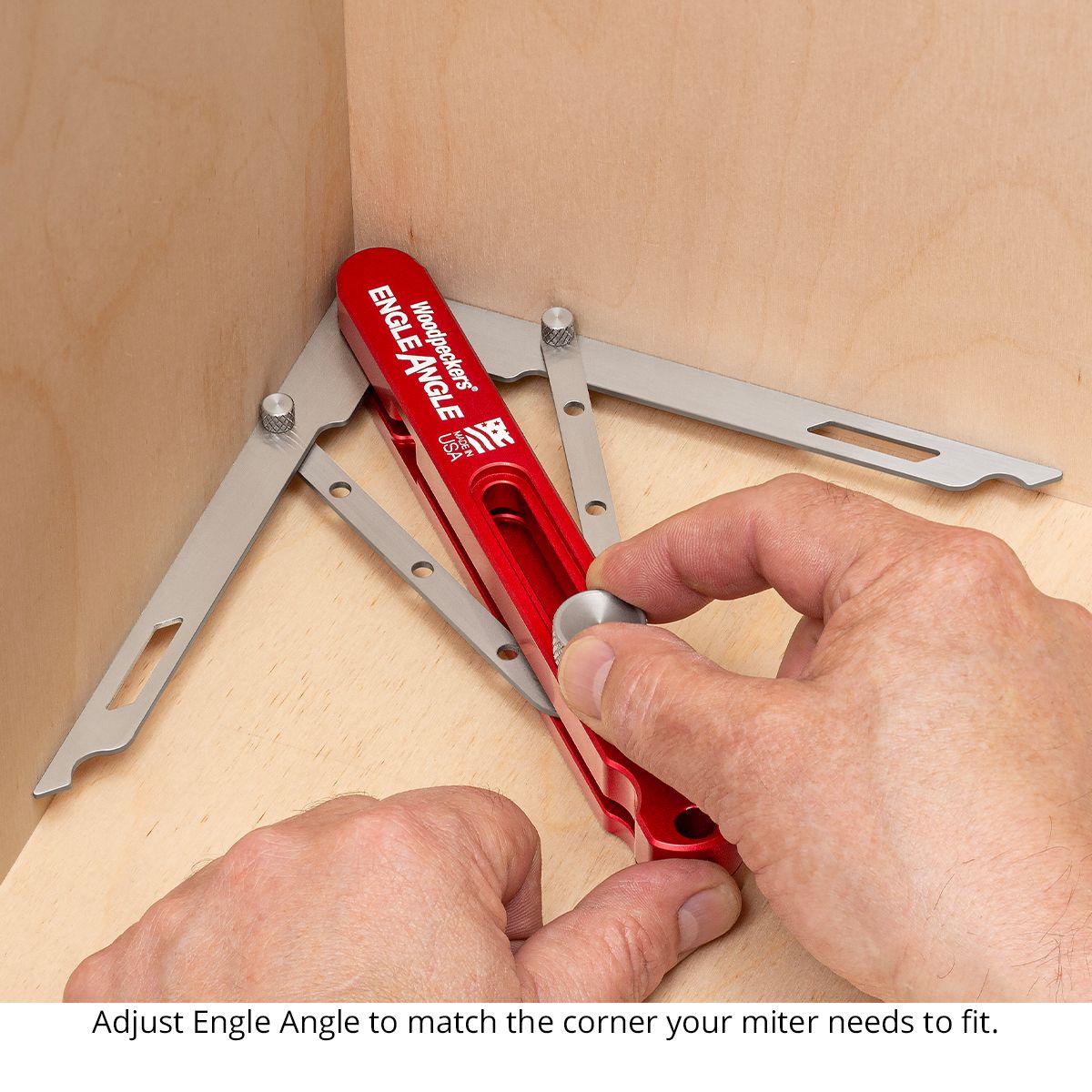 Woodpeckers Engle Angle