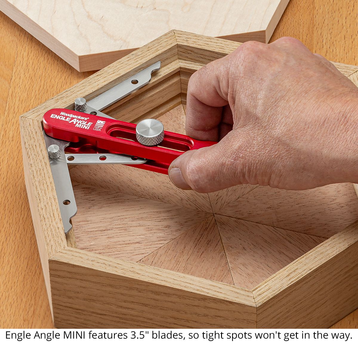 Woodpeckers Engle Angle